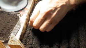 КАК ВЫРАСТИТЬ АНЮТИНЫ ГЛАЗКИ /ВИОЛУ/и посеять МНОГОЛЕТНЮЮ МШАНКУ ИЗ СЕМЯН