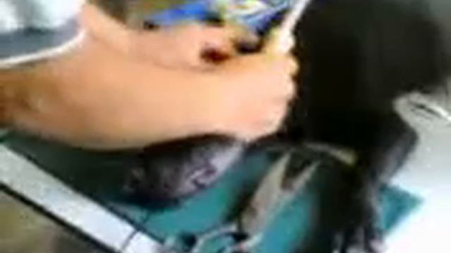 Earcrop смотреть онлайн