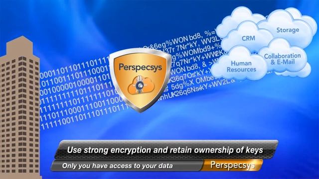 Perspecsys 2-Minute Overview смотреть онлайн