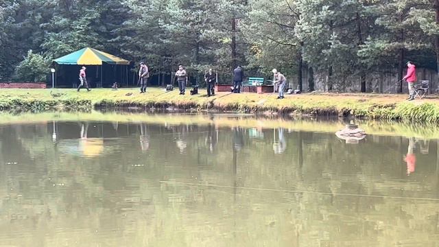 Голицыно Fish смотреть онлайн