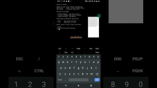 Frida - SSL Pinning bypass, Termux. смотреть онлайн