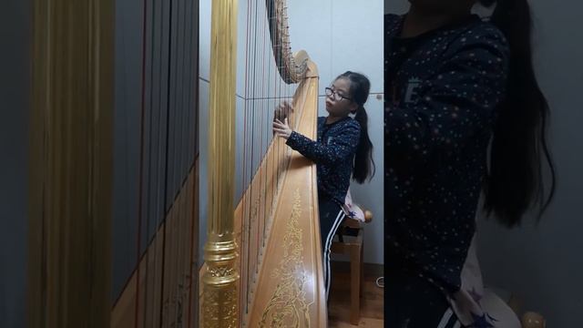 F.J.Naderman Sonata for harp No.6, 1st mvt.(하프 김채원) смотреть онлайн