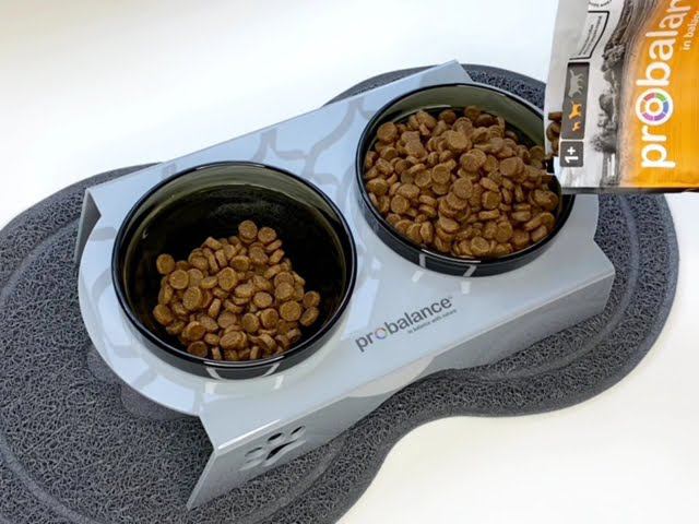 Корм для собак PROBALANCE "IMMUNO ADULT SMALL & MEDIUM" смотреть онлайн