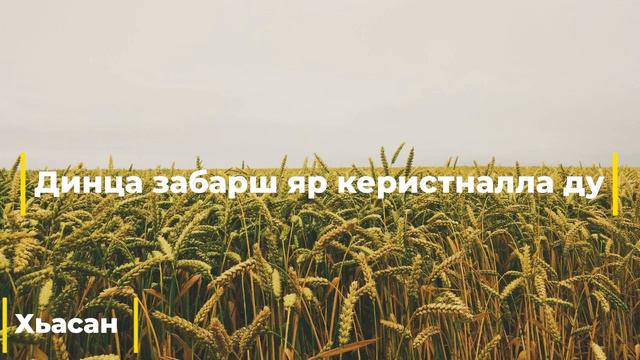 Динца забарш яр керистналла ду | Хьасан