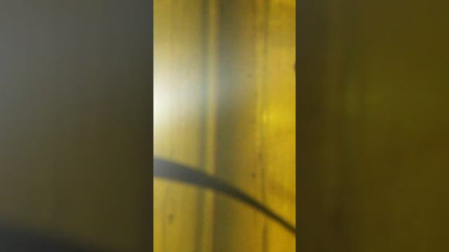 Уход за рыбками смотреть онлайн