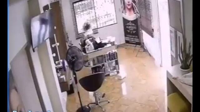 Фауна шоу-613 смотреть онлайн