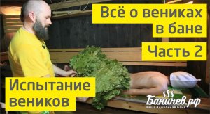 Веники для бани. Какой веник лучше + ароматерапия бани Баничев. Чать 2