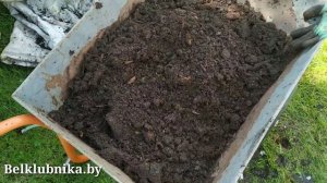 Клубника в трубах, вёдрах после зимы. Belklubnika.by (1).mp4