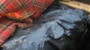 Самая простая и эффективная внутриульевая поилка для пчел