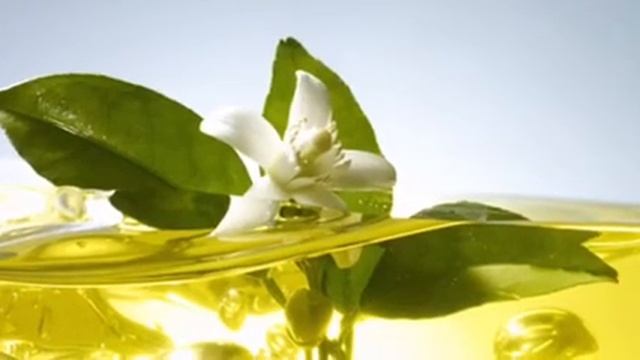 НЕРОЛИ | ЭФИРНОЕ МАСЛО смотреть онлайн