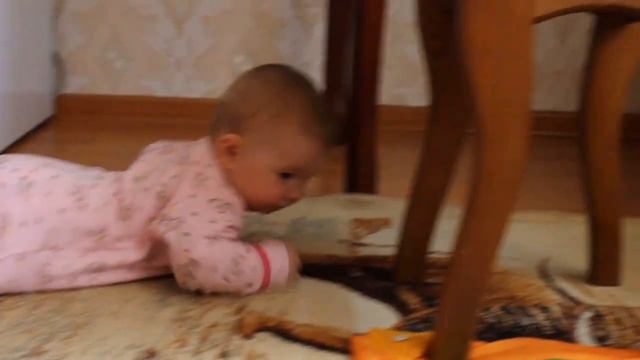 Ребенок в 5 месяцев пугает кота смотреть онлайн