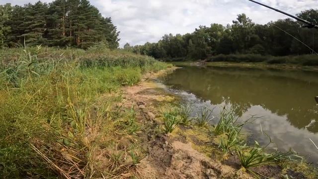 УТРЕННИЙ ДАЧНЫЙ МОРМЫШИНГ ИЛИ КАК ПЕРЕХИТРИТЬ ЩУКУ смотреть онлайн