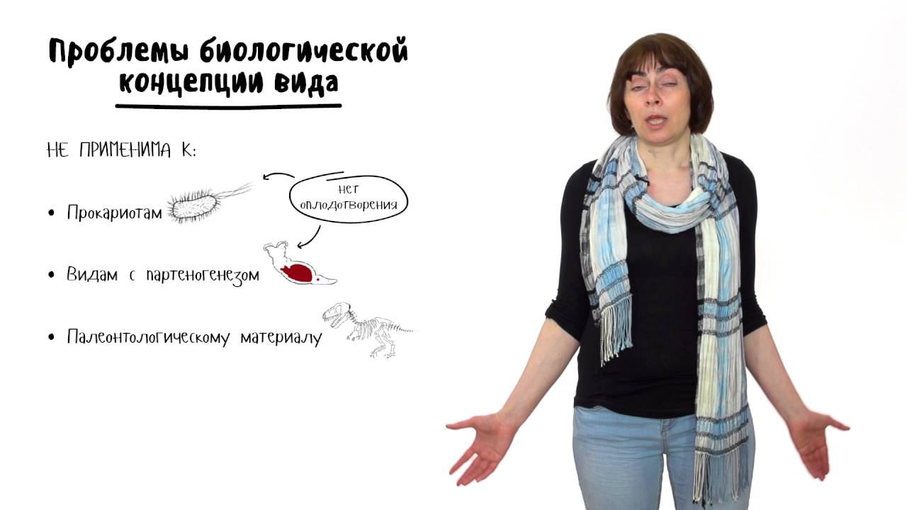 Эволюция - 4. Механизмы эволюции, часть 2. 10 - 11 класс смотреть онлайн