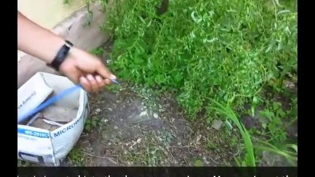 Как заправить леску в газонокосилку 2 способа How to fill the line in the lawn mower 2 ways смотреть онлайн