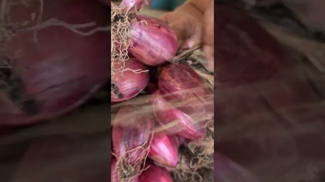 Stamu facendu u panaredu i cipuda - Stiamo facendo il cestino di cipolla смотреть онлайн