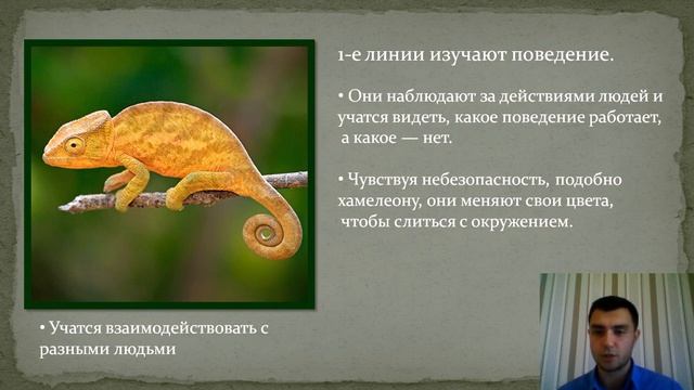 1 линия. Профиль. Дизайн человека смотреть онлайн