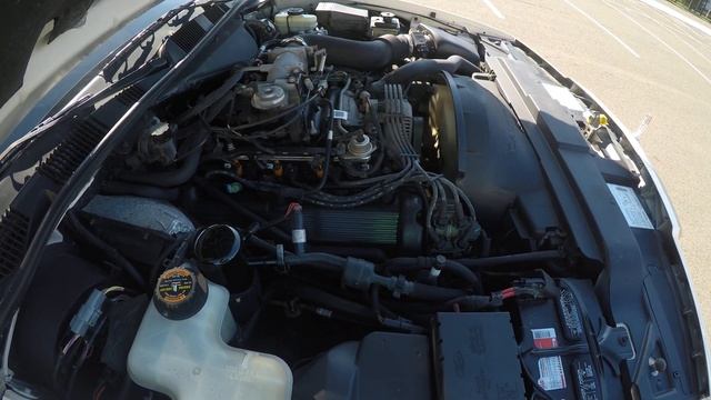 Very Rare 1997 Lincoln Town Car Cartier Edition Pearl White Walk-around And Test-drive