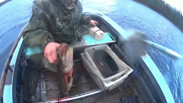 Рыбалка на озере в октябре. Неделя в лесу. смотреть онлайн