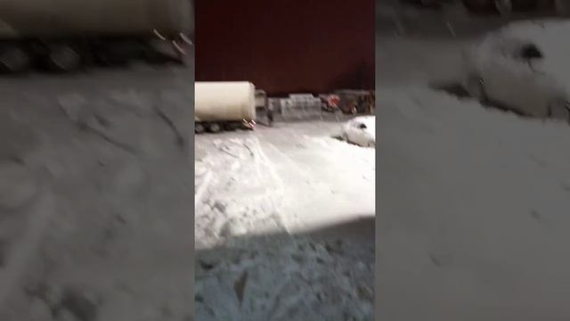 ребята я буду гриб смотреть онлайн