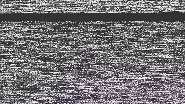 Feisty Pets React to My Pet Ghost! Feisty Films Ep. 110 смотреть онлайн