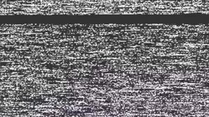 Feisty Pets React to My Pet Ghost! Feisty Films Ep. 110