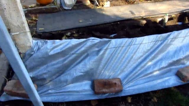мерилон как укрытие винограда