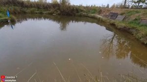 Пруд на даче. Замор рыбы! Погибает рыба в своём пруду?. Свой пруд с рыбой и раками на участке.