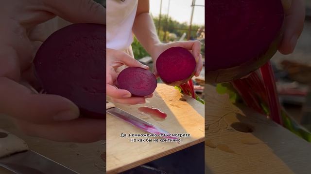 Есть ли кольцеватость у самой сладкой свёклы? Дегустация свёклы Детройт Рубиновый | Усадьба-Семена смотреть онлайн