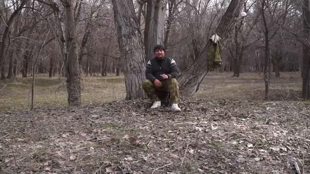 Как выбрать щенка азиата. смотреть онлайн