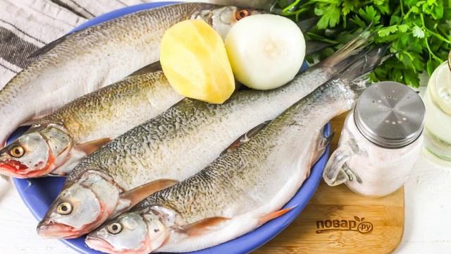 Сборник рецептов