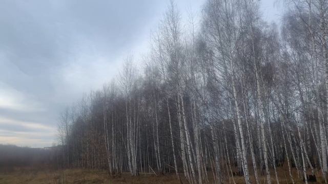 От такого отношения мир становится добрее и теплее. смотреть онлайн