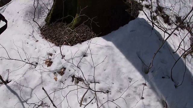 Поход на гору Гебиус через Бжидские и Гебиусские водопады/утонули весной в снегу рядом с морем смотреть онлайн