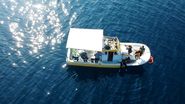 Рыбалка в Турции на Эгейском море смотреть онлайн