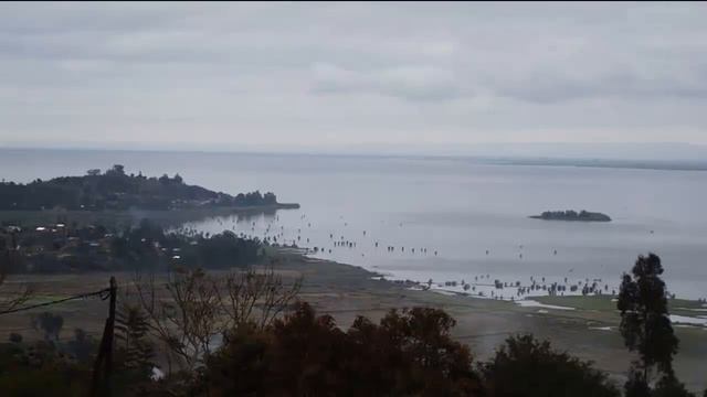 МАДАГАСКАРСКИЙ НЫРОК - Пропавшая утка смотреть онлайн