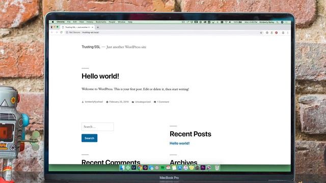 How to set up SSL on Local смотреть онлайн