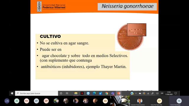 3. NEISSERIA I MICRO -TEORIA- смотреть онлайн