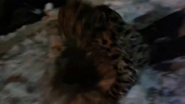 Я РЖУ НЕ МОГУ ВЕДЬ МОЙ ДРУГ ЖЕНЯ ПРОСТО "ЛУНТИК" смотреть онлайн