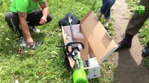 Покос борщевика/Тест аккумуляторного триммера  Greenworks GD40BC