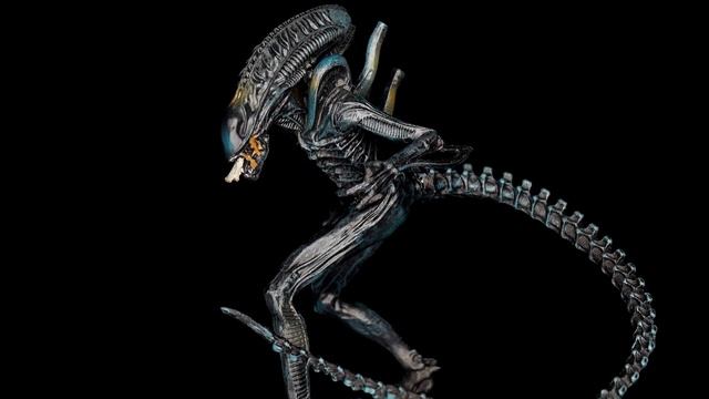 Обзор фигурок Чужой и Хищник от Eaglemoss