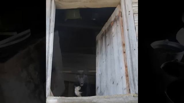 Когда нибудь... смотреть онлайн