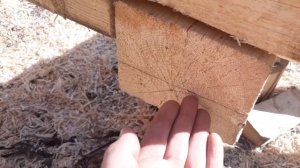 Рубка сруба в лапу часть2