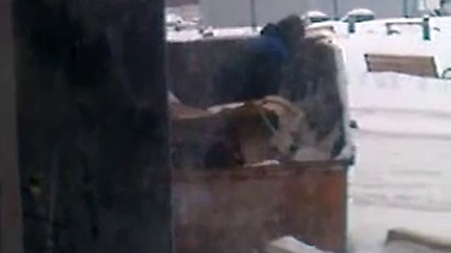 На стройке в помойке.3GP