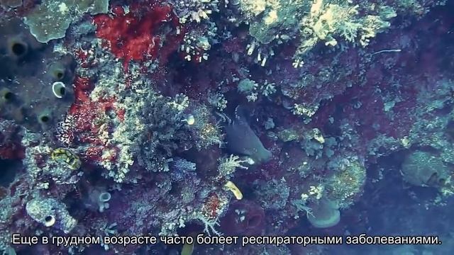 Значение имени Устин. Толкование, судьба, характер смотреть онлайн