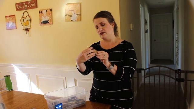 Makeup Rescue: No Makeup Makeup with Dana смотреть онлайн