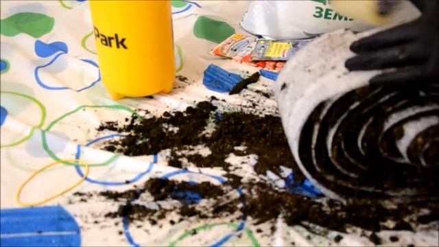 Посев чабреца, маргариток и агератума в улитку смотреть онлайн