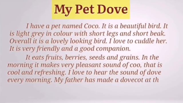 My pet bird Dove essay in English | Essay on my pet bird |15 lines essay on my pet bird dove смотреть онлайн