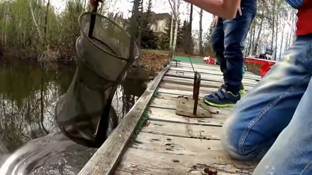 Отличный клев на озере Сунгуль. Мама поймала рыбу смотреть онлайн