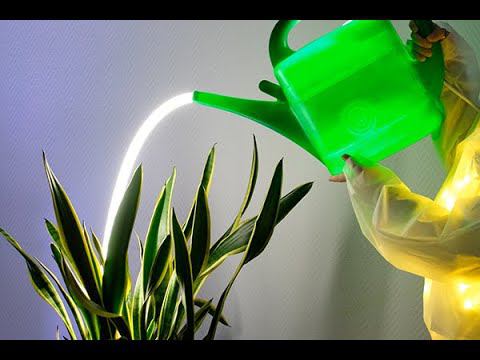 Воркшоп с дизайнерами смотреть онлайн