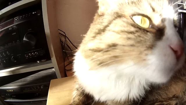 ION Air Pro 2 образец съёмки