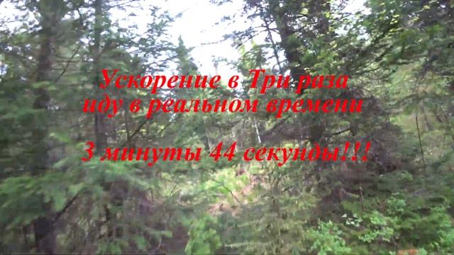 КЛЕЩИ! смотреть онлайн